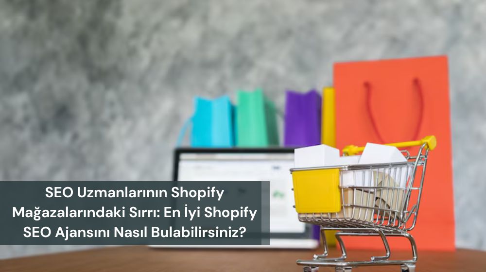 İstanbul Shopify Seo Ajansı 