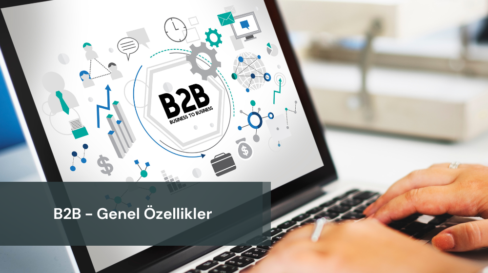 B2B Panel Girişi