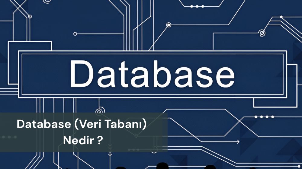 Database (Veri tabanı) Türleri Nelerdir?