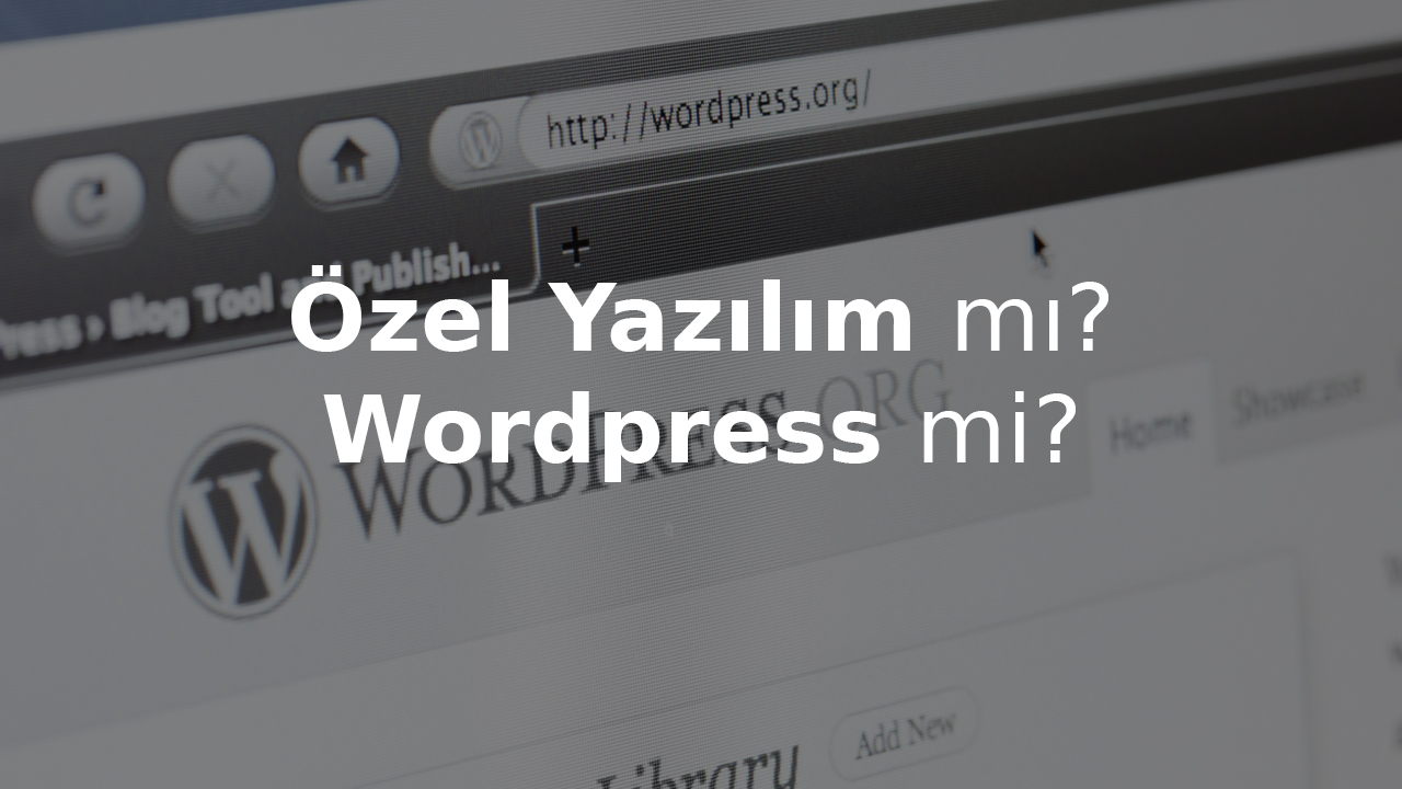 SEO Çalışmalarında Özel Yazılım mı? Wordpress mi?