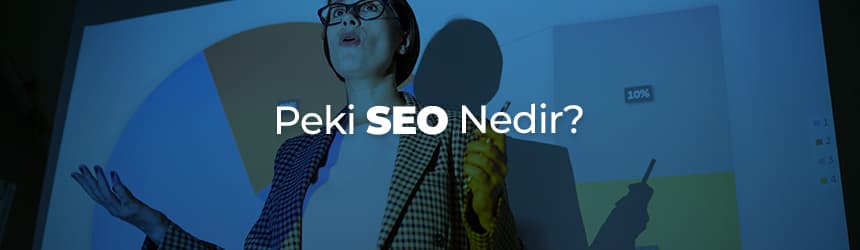 SEO Nedir?