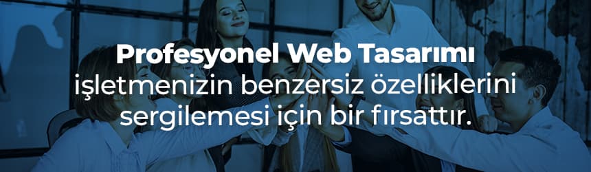 Profesyonel Web Tasarım Hizmeti