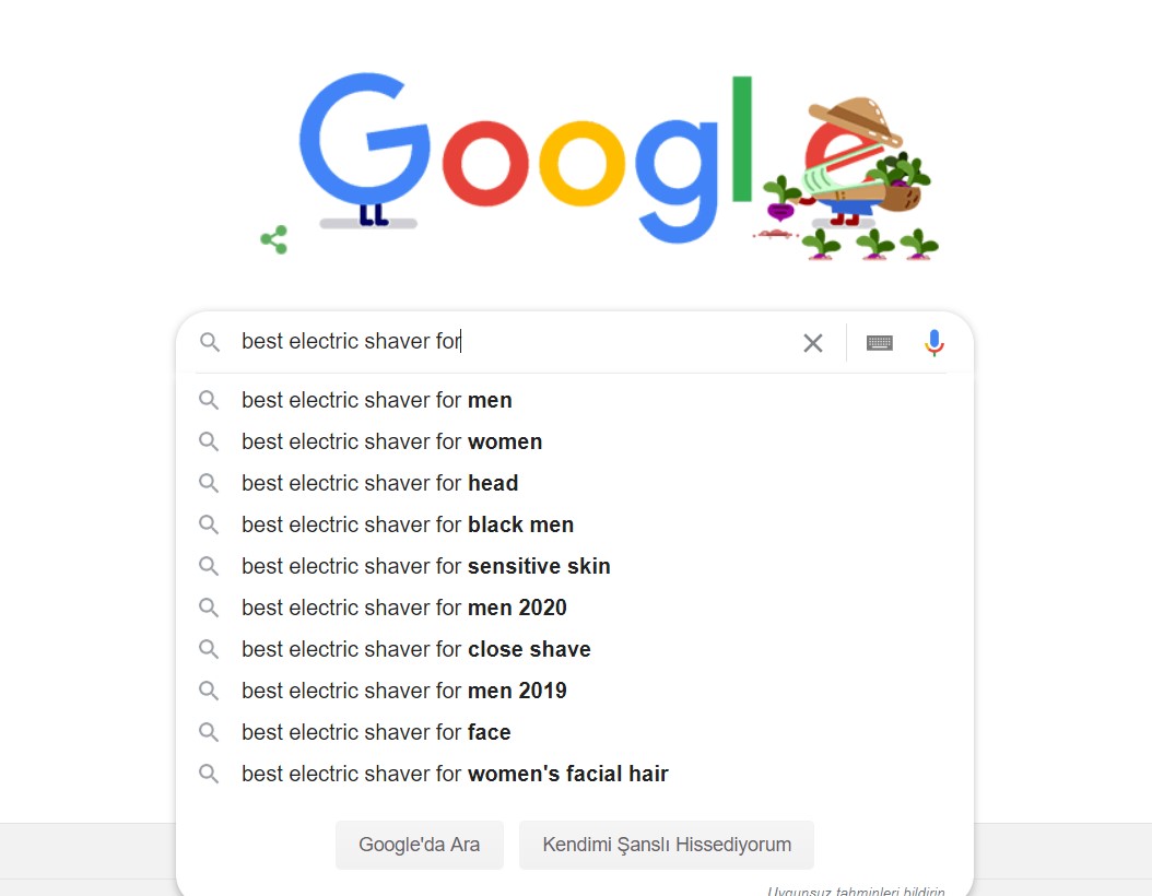 Google sorgusu